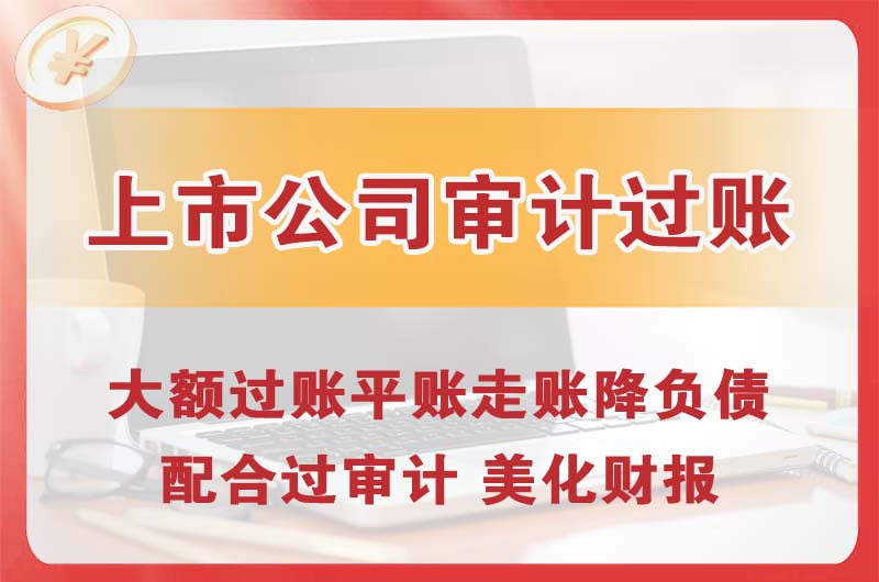 梧州上市公司审计过账